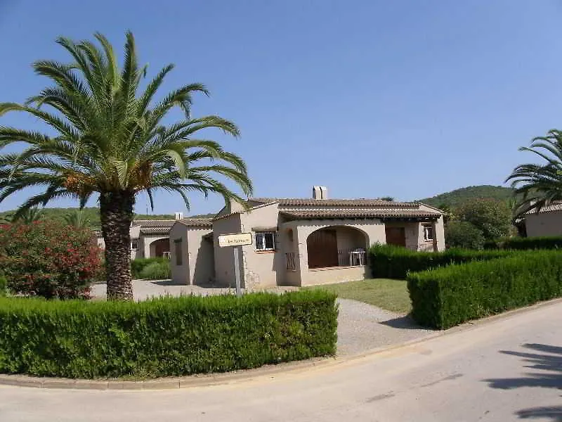 Palmeres L'Estartit